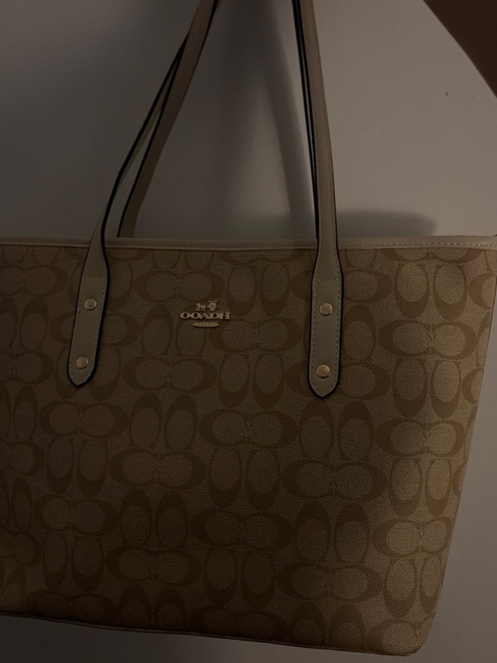 NOT BRANDED Signature Canvas Tote Purse